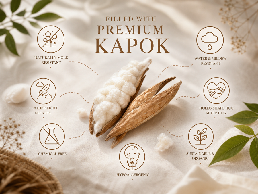 Kapok cotton — nature's most underrated material